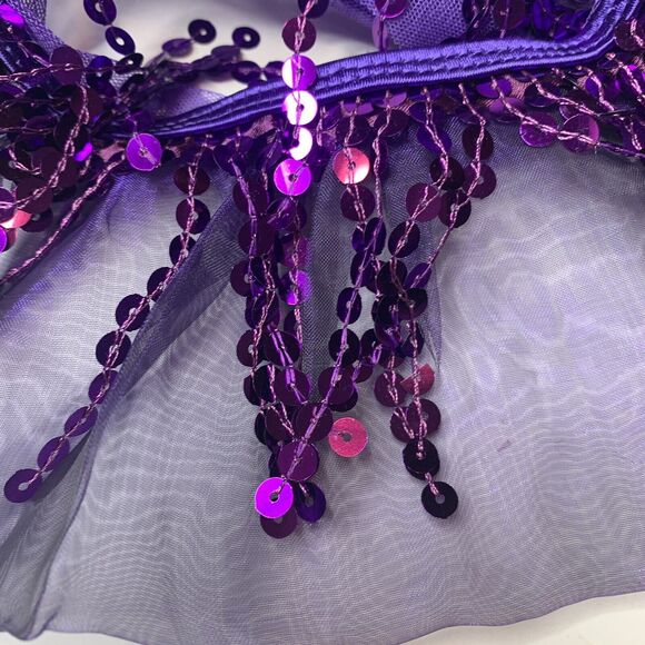 Wiessman Grape Purple Sequined Dance Costume - Picture 11 of 13